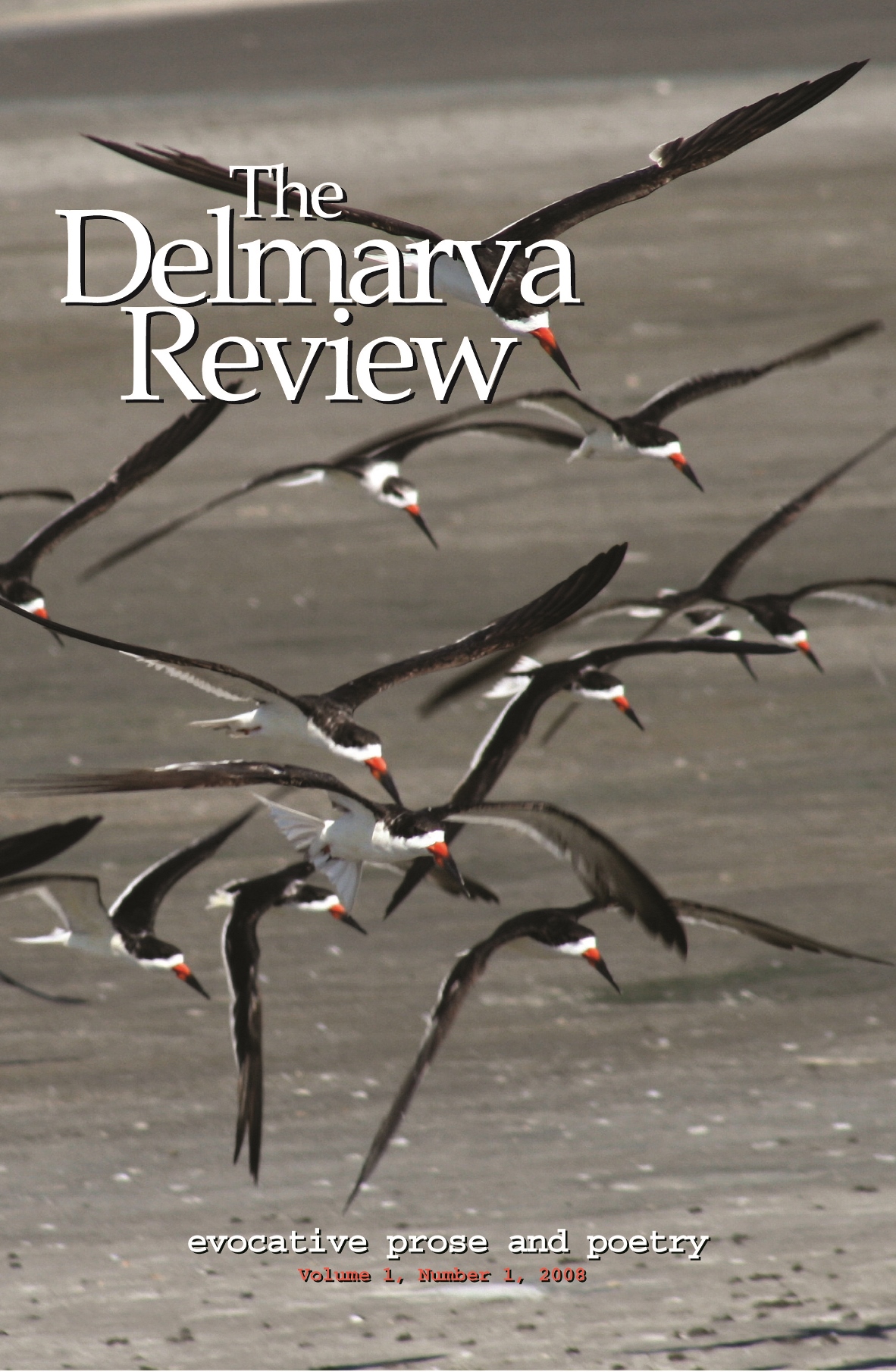 Delmarva Review