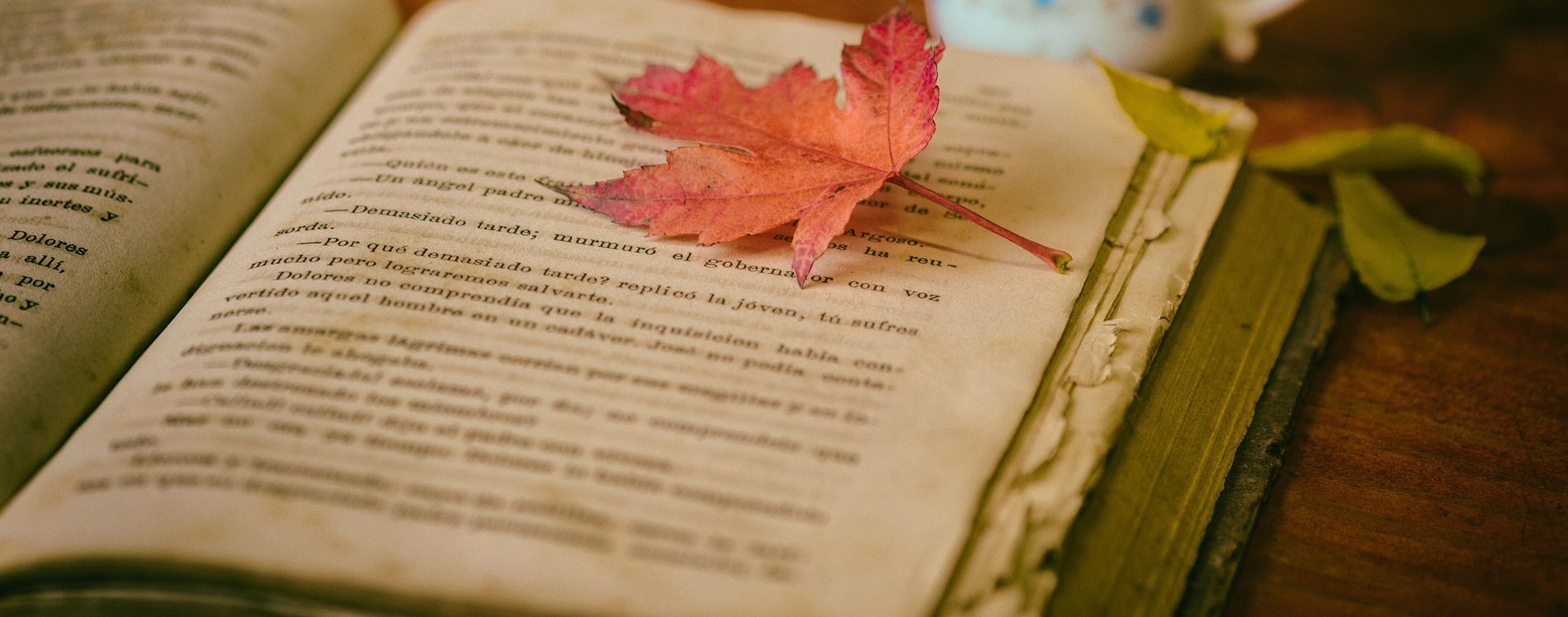 Pixabay - Free Clip Art - Use For Prose and Poetry- Book and Leaf